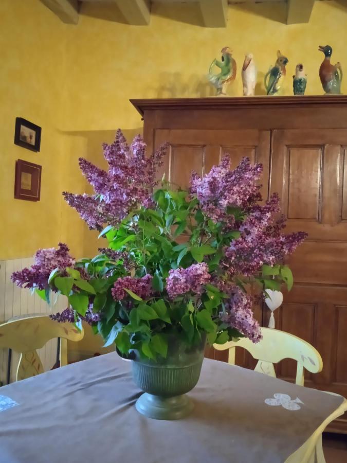 Chambre Dans Prieure De Caractere XVIII Siecle Planioles エクステリア 写真